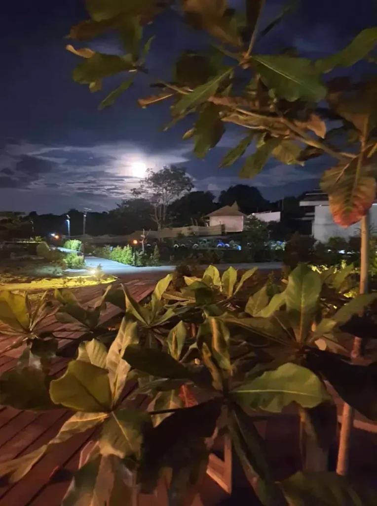 Night view of the resort pathway and landscaped garden framed by large leaves, with the moon glowing in the background at Kiki Beach Island Resort Batam.