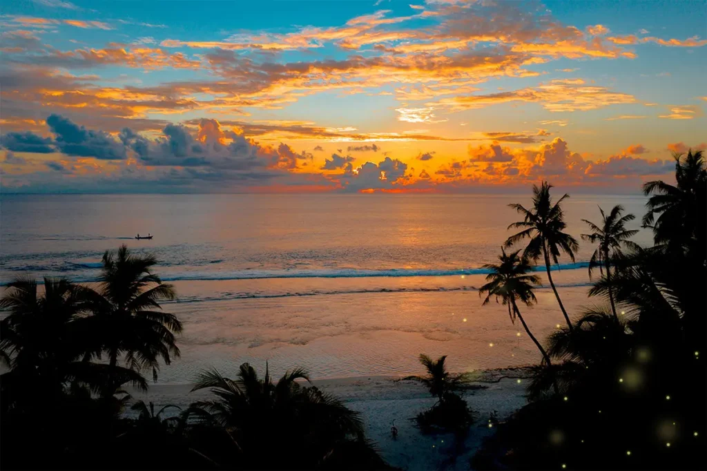 Aerial view of a stunning sunset over a tropical beach with palm tree silhouettes, reflecting on the calm ocean waters at Kiki Beach, perfect for a serene night tour.