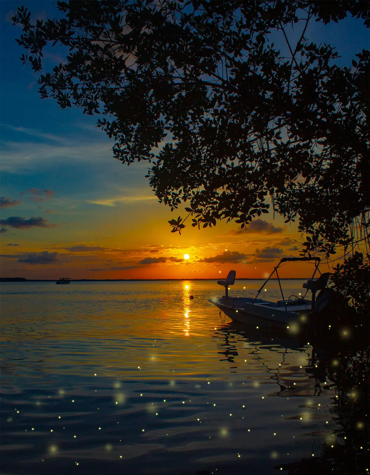 Small boat in a serene mangrove river at sunset with glowing fireflies in the water, illustrating the magical kiki beach Mangrove Night Tour experience.